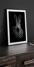 The Zebra Plakat - Posterbox