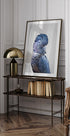 Black Cockatoo - Posterbox