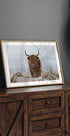 Highlander in Snow Plakat - Posterbox