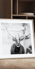 Male deer in heavy snow Plakater - Posterbox