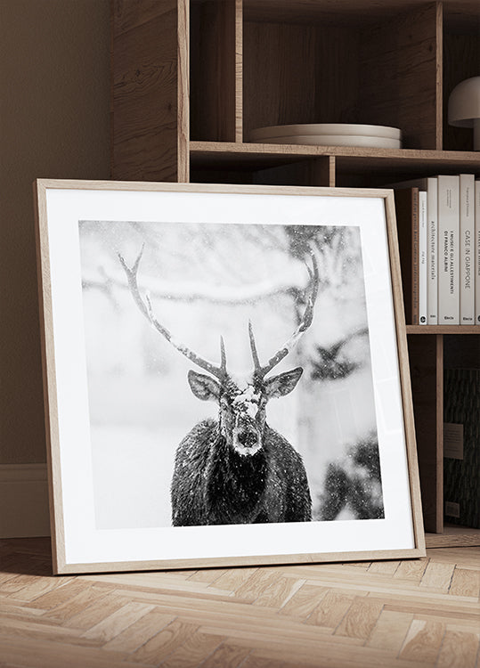 Male deer in heavy snow Plakater - Posterbox