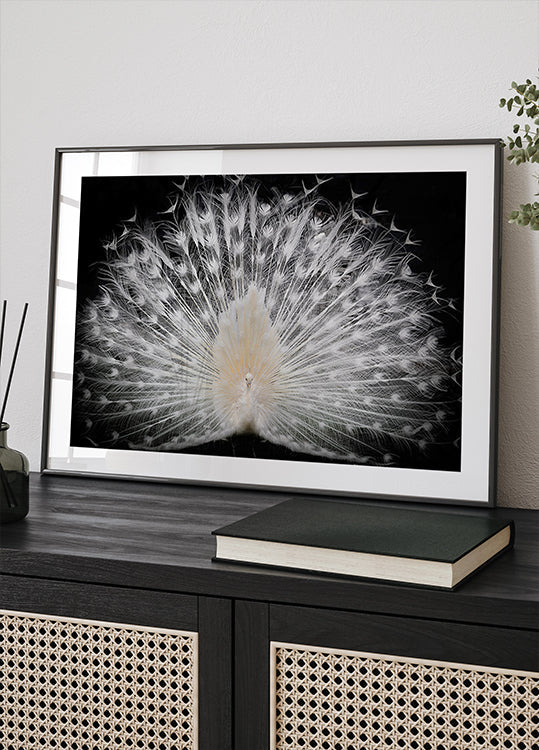 black and white, Plakat - Posterbox
