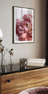 Peony - Posterbox