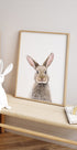 Baby Rabbit Plakat - Posterbox