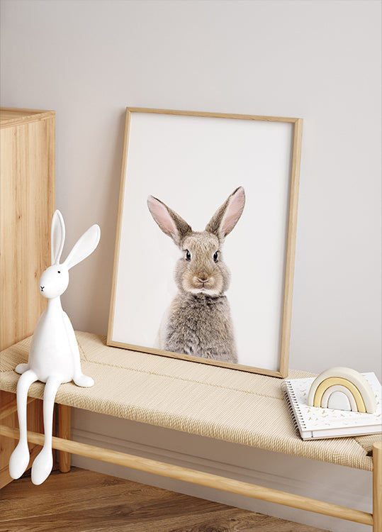 Baby Rabbit Plakat - Posterbox