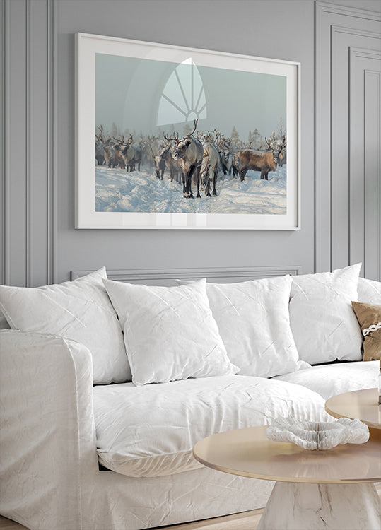 Reindeers - Posterbox