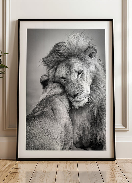 African Love! Plakat - Posterbox