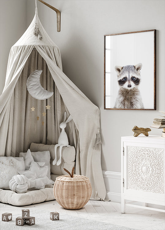 Baby Racoon - Posterbox