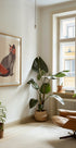 Chat Catcheur Plakat - Posterbox