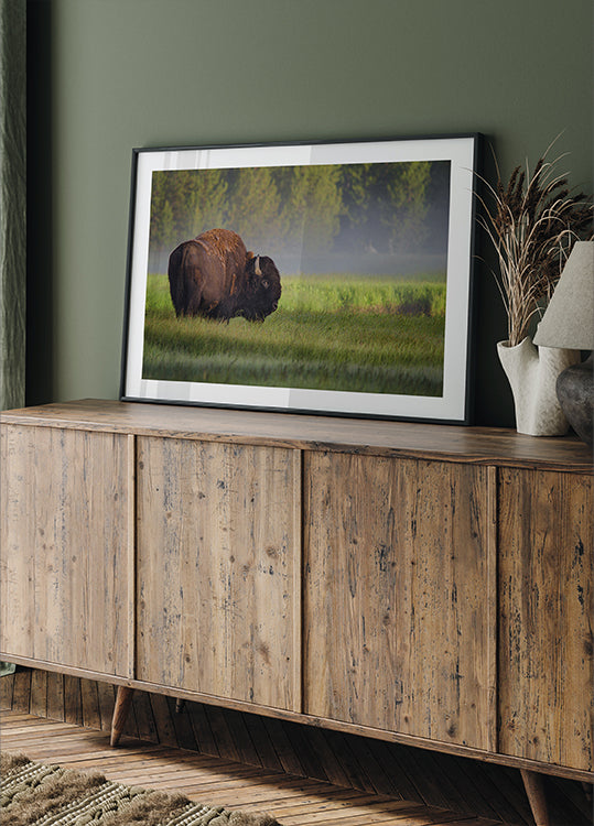Bison in Morning Light Plakat - Posterbox