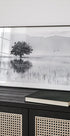 Spring Mirror - Posterbox