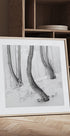 Frozen Forest Plakater - Posterbox