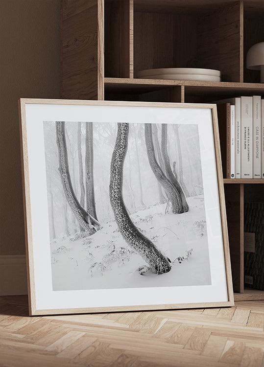 Frozen Forest Plakater - Posterbox