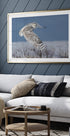 Snowy Owl - Posterbox