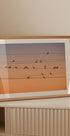 Music of Light - Posterbox