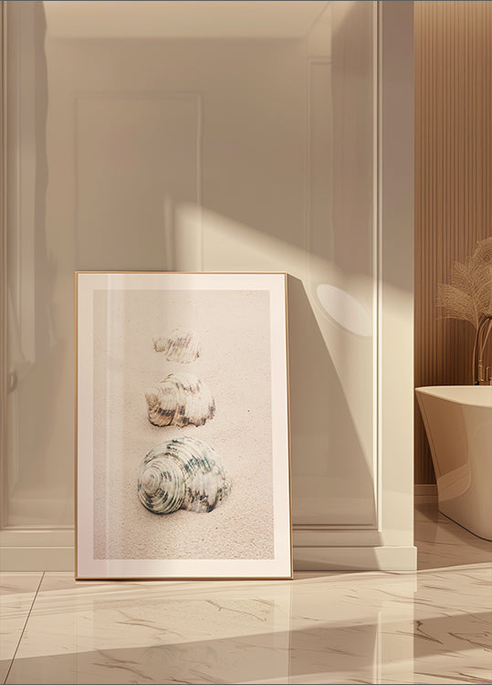 Shells - Posterbox