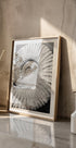Ancient Spiral Dreams - Posterbox