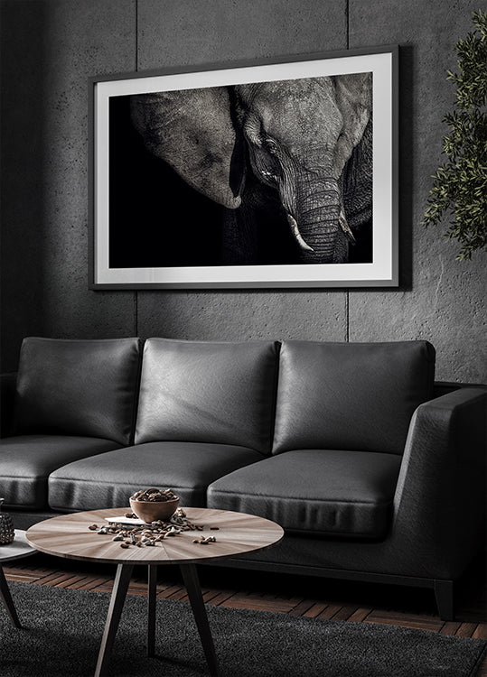 The Matriarch - Posterbox