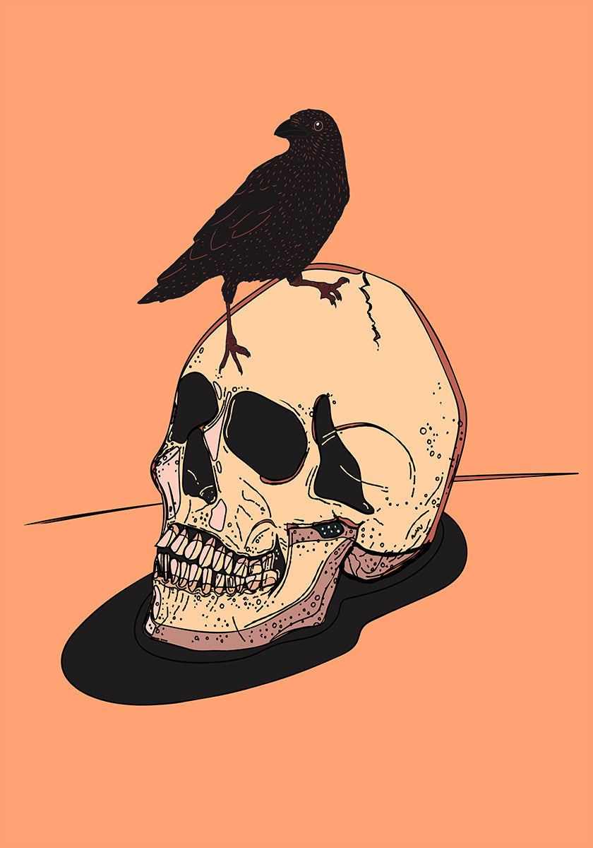 Skull And Raven Plakat - Posterbox