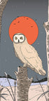 Vintage Owl Plakat - Posterbox