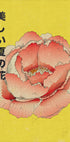 Beautiful summer flower (NEW) - Posterbox