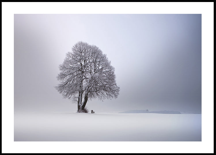Winter light Plakat - Posterbox
