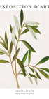 Olivenposter - Posterbox.dk