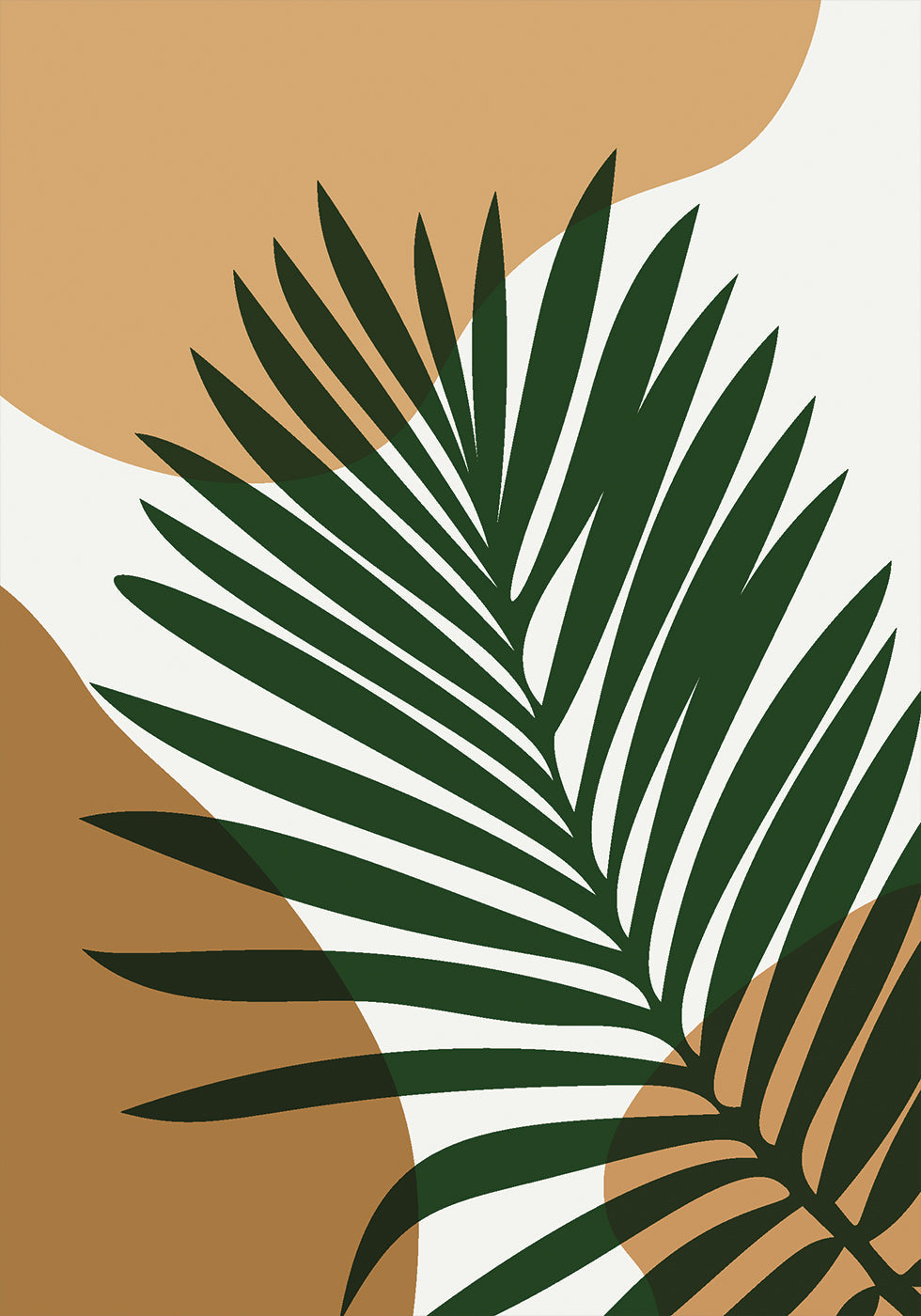 Palmblatt-Poster - Posterbox.dk