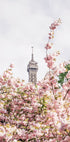 Paris-Poster - Posterbox.dk