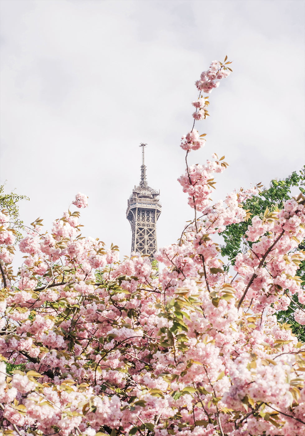 Paris-Poster - Posterbox.dk