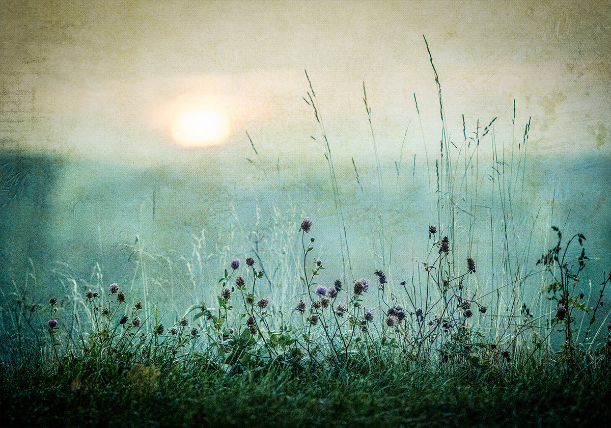 Autumn sunrise Plakat - Posterbox