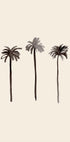Palm Trees Ink Plakat - Posterbox