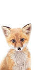 Baby Fox Plakat - Posterbox