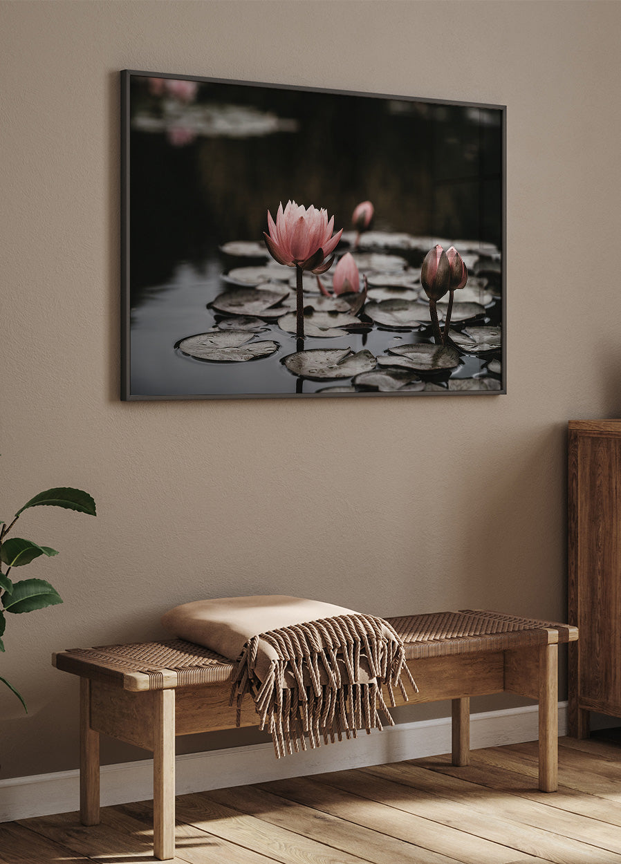 Rosa Lotusblumen Poster - Posterbox.dk