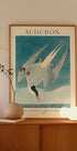 Küstenseeschwalbe von Birds of America Audubon Poster - Posterbox.dk