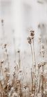 Herbstliches Trockenblumen-Poster - Posterbox.dk