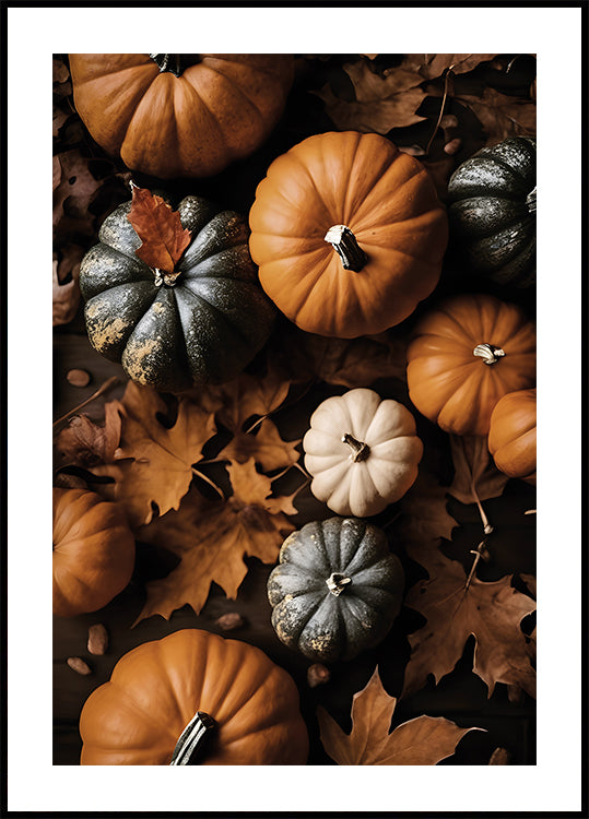 Poster mit Herbstkürbissen und Blättern - Posterbox.dk