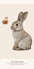 Baby-Hase und Schmetterling, personalisiertes Baby-Mädchen-Poster - Posterbox.dk