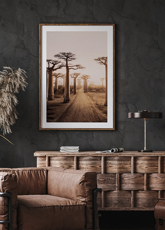 Baobab-Bäume bei Sonnenuntergang Poster - Posterbox.dk