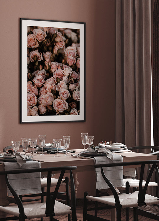 Errötendes rosa Rosen-Poster - Posterbox.dk