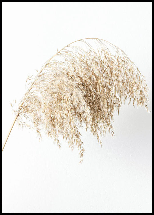 Boho Minimalistisches Poster mit getrocknetem Gras - Posterbox.dk