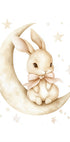 Hase auf dem Mond Poster - Posterbox.dk