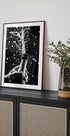 Champagner-Feier-Poster - Posterbox.dk