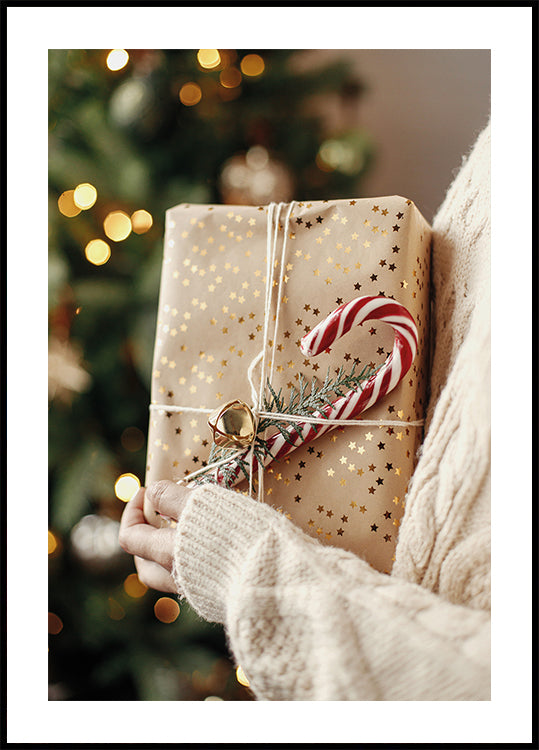 Eine Person hält ein verpacktes Geschenk vor einem Weihnachtsbaum