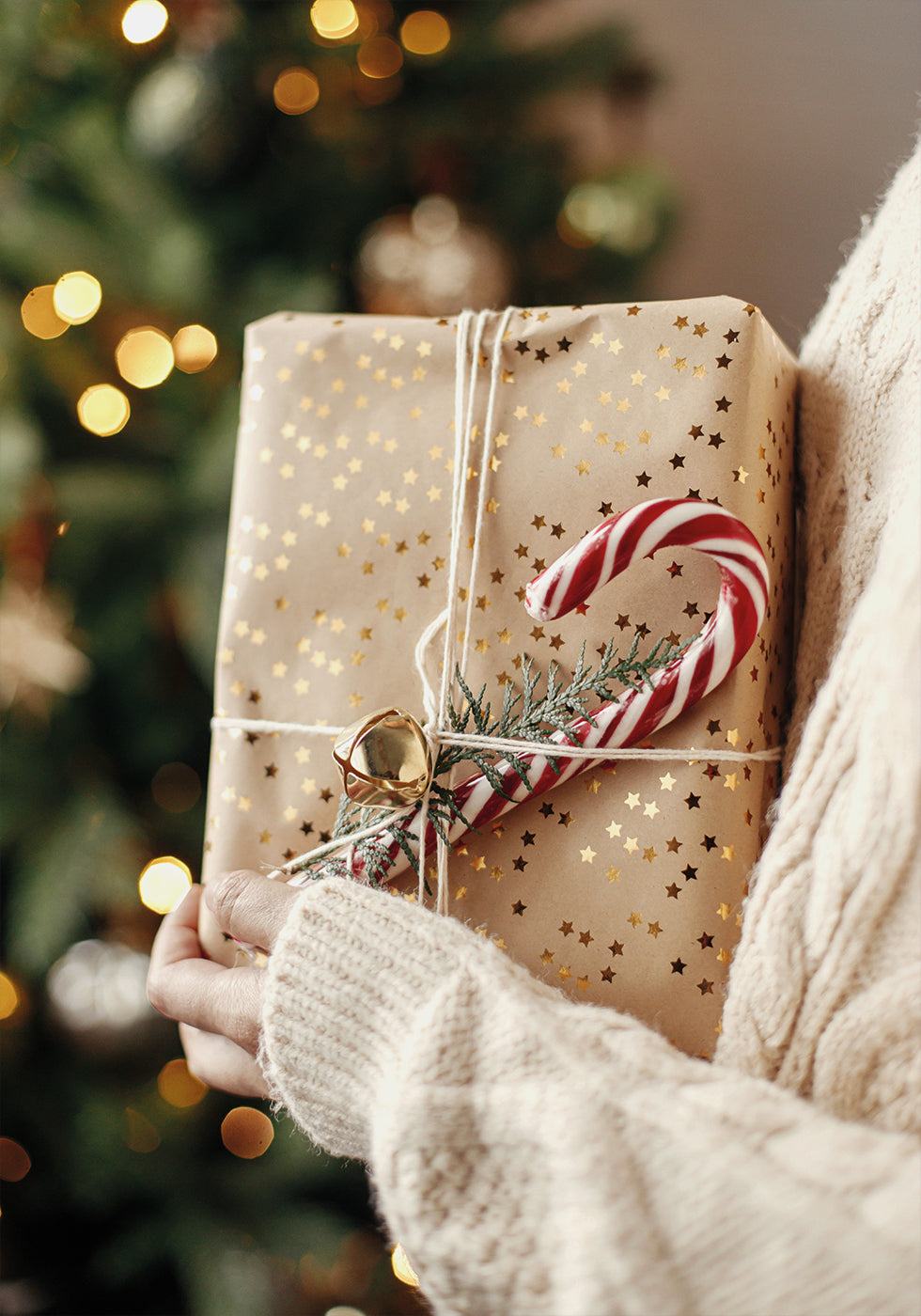 Eine Person hält ein verpacktes Geschenk vor einem Weihnachtsbaum