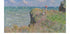 Cliff Walk bei Pourville Poster - Posterbox.dk