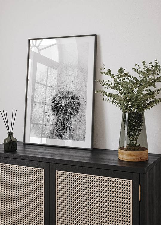 Löwenzahnblume mit Tau-Poster - Posterbox.dk