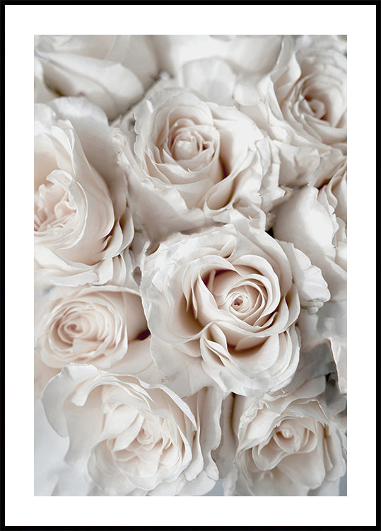 Elegantes weißes Rosenstrauß-Poster - Posterbox.dk