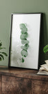 Eukalyptusblatt-Poster - Posterbox.dk