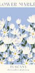 Blumenmarkt, Gänseblümchenfeld in der Toskana Poster - Posterbox.dk